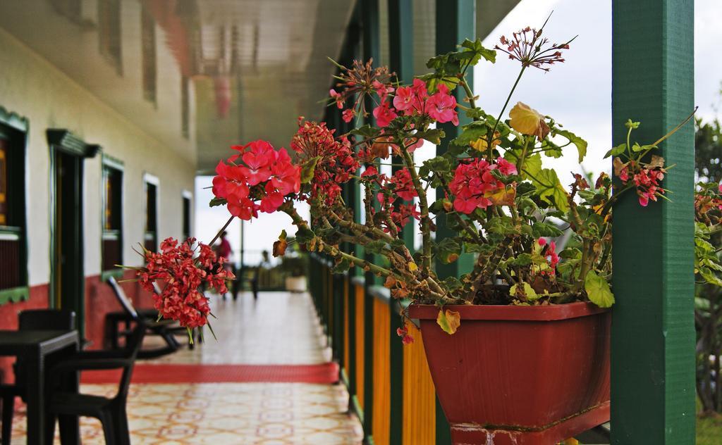 Hostal Casa De Los Taitas Salento Eksteriør billede
